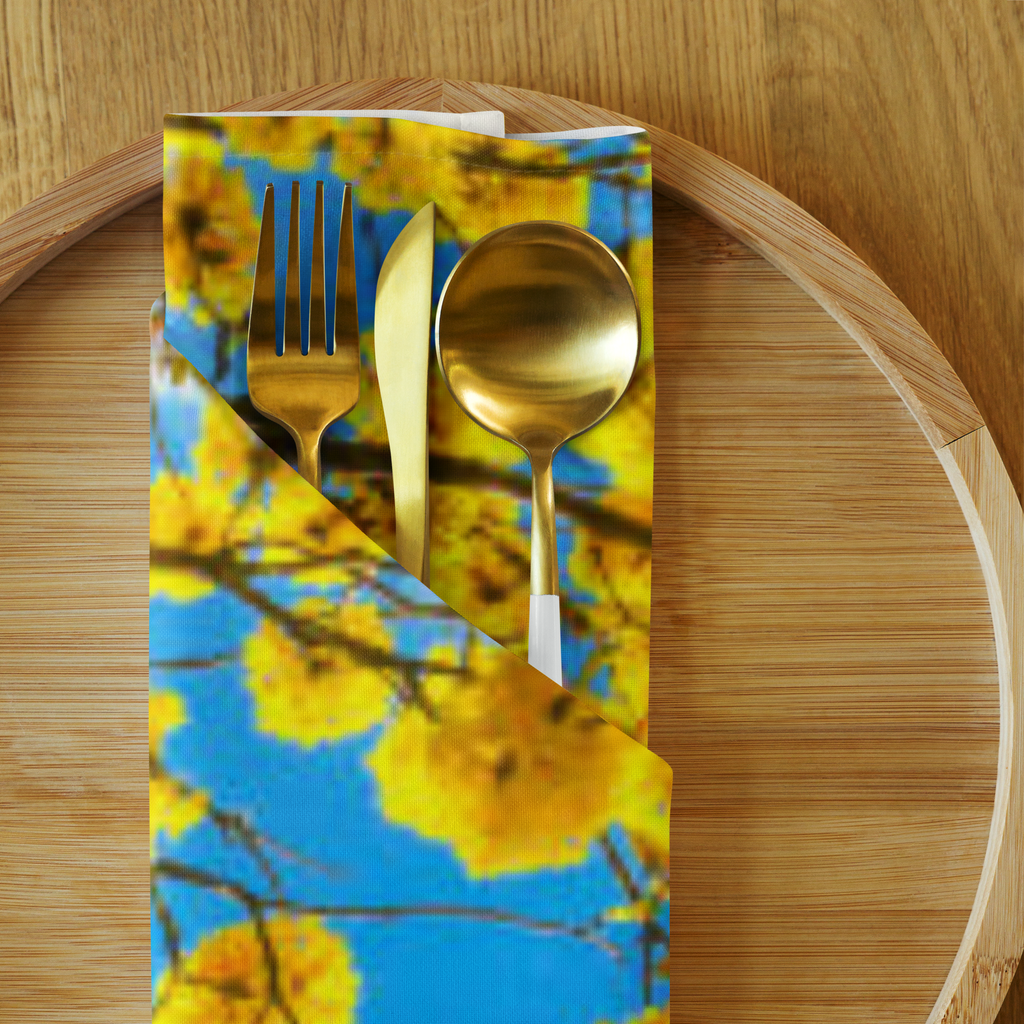 Cloth napkin set