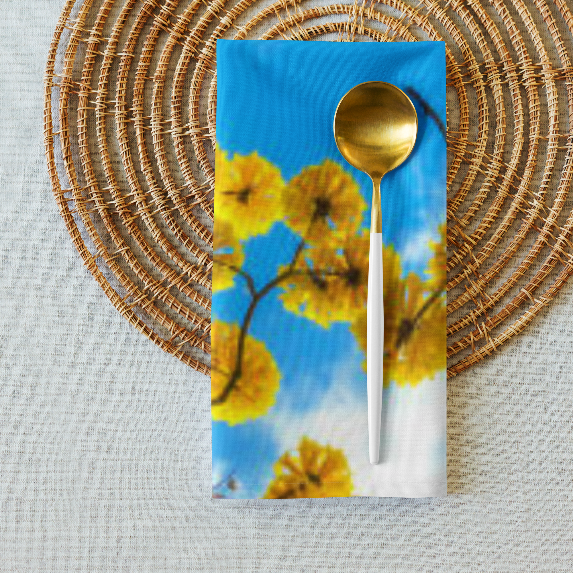 Cloth napkin set