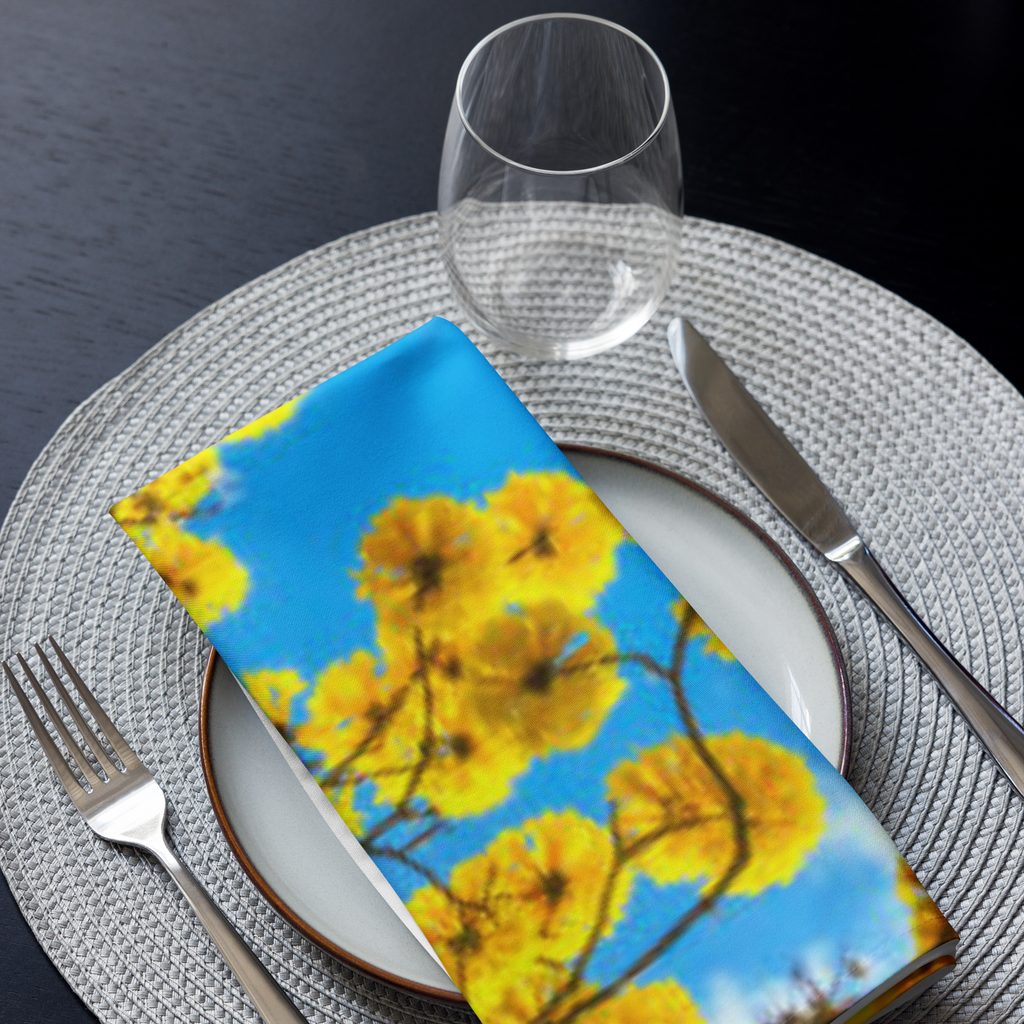 Cloth napkin set