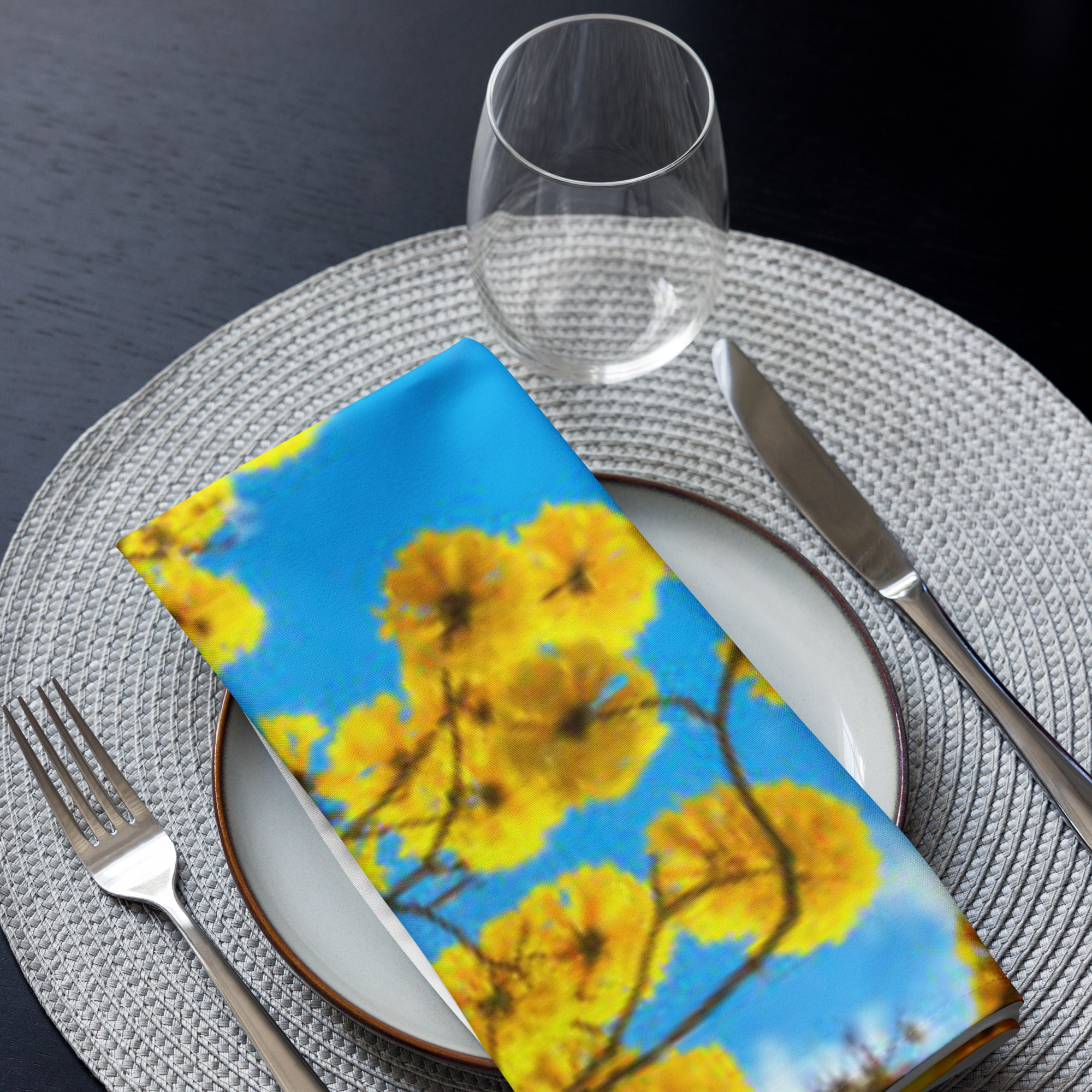Cloth napkin set