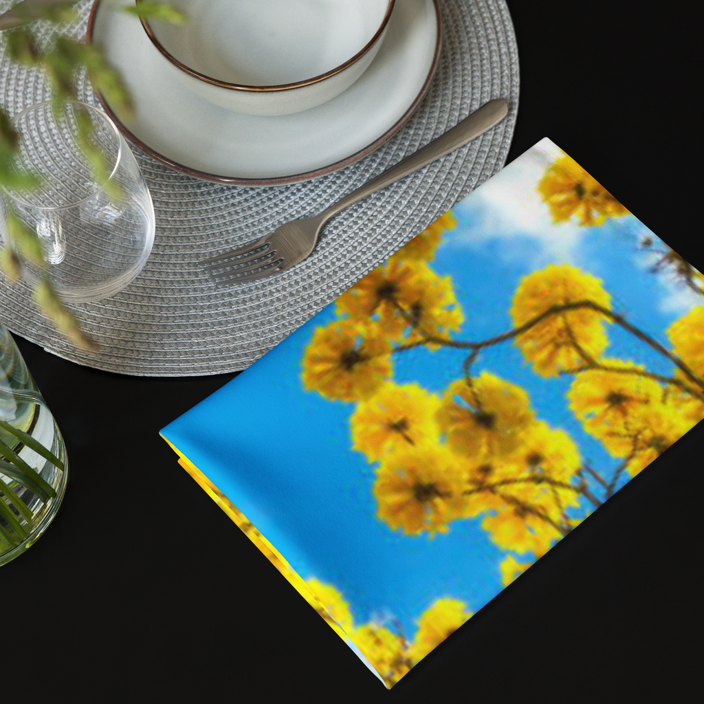Cloth napkin set