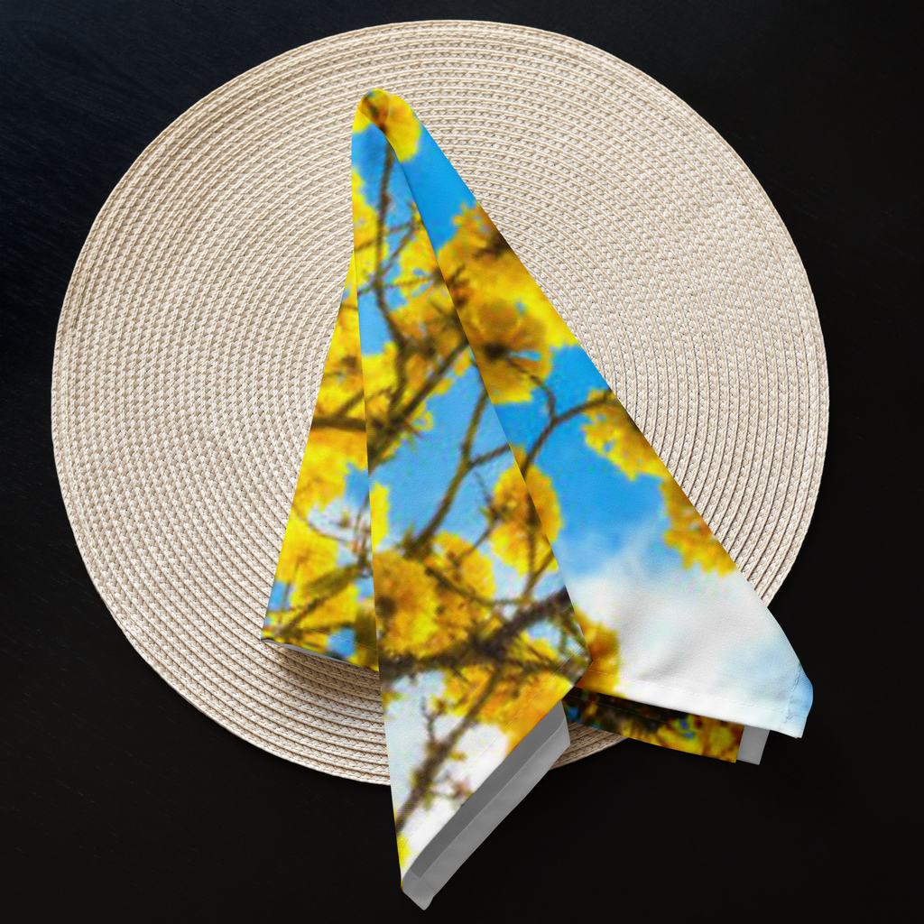 Cloth napkin set