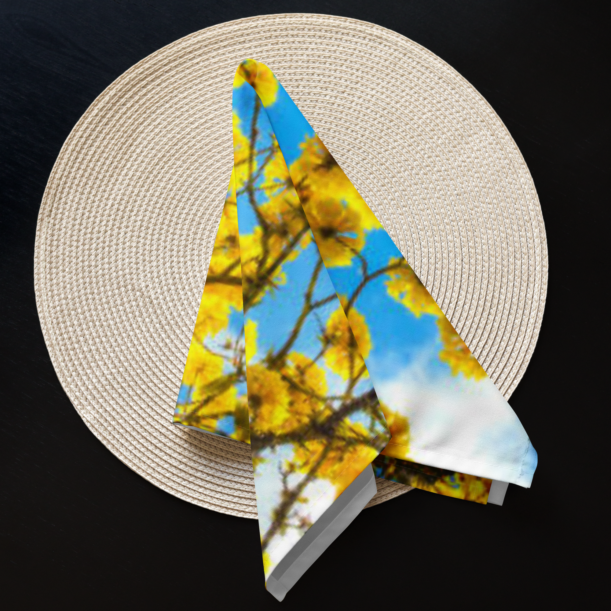 Cloth napkin set