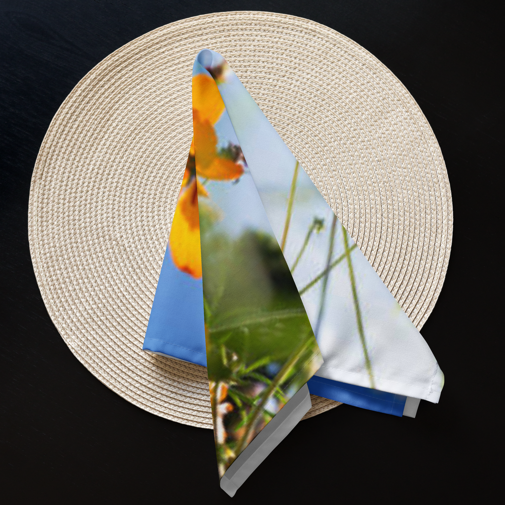 Cloth napkin set