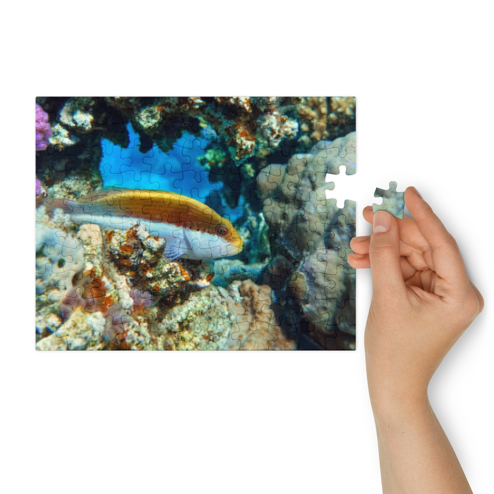 Jigsaw puzzle with tin